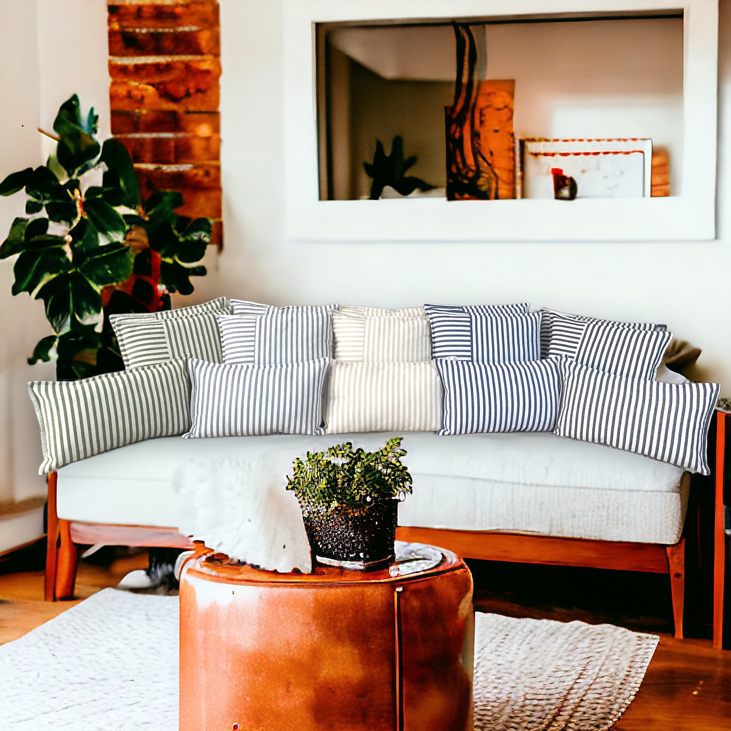 San Diego Çizgili Kırlentler