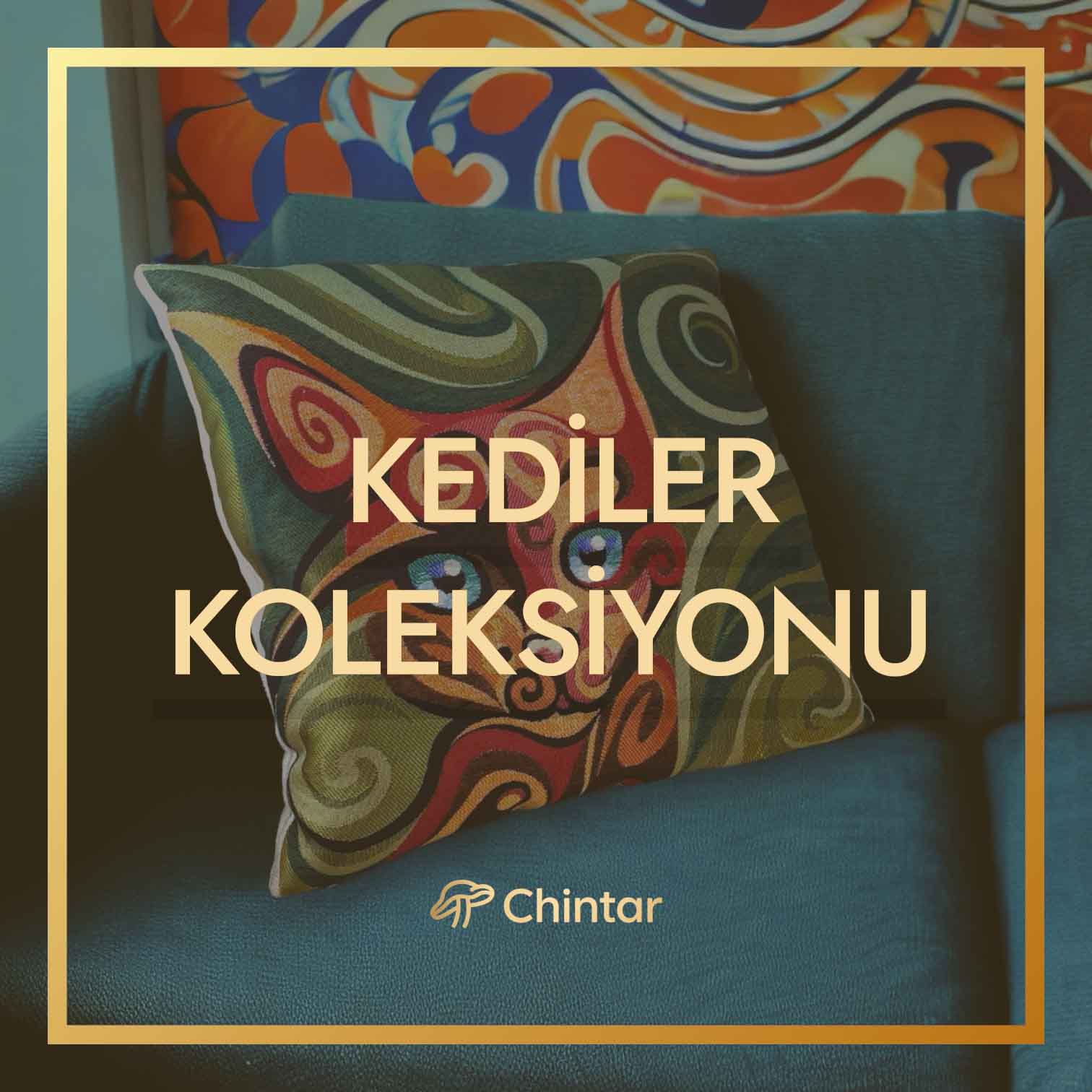 Kedi Koleksiyonu